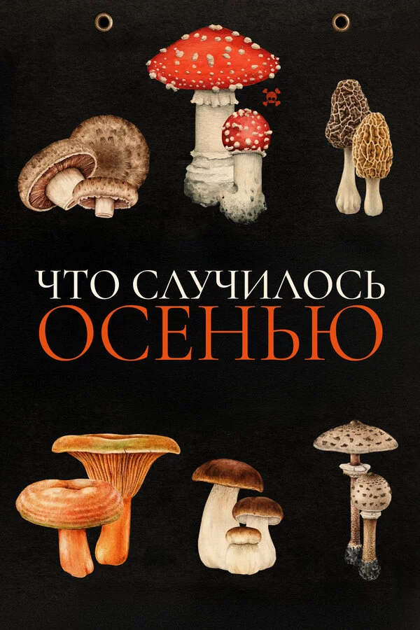 Что случилось осенью постер - смотреть онлайн